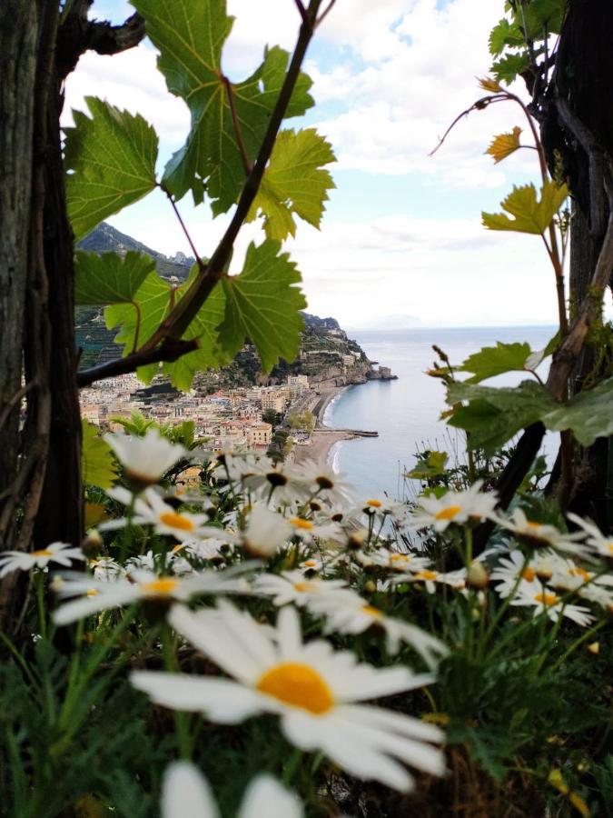 Eden Tra I Limoni Apartment Minori Bagian luar foto